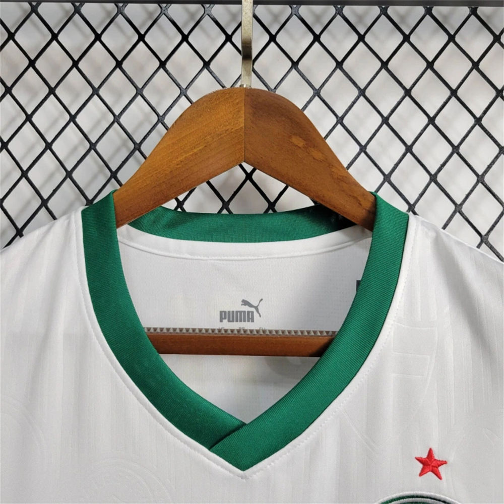 2024/25 Palmeiras Away vest jersey Fan Version