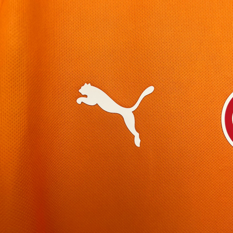 2025/26 Galatasaray Home jersey Fan version