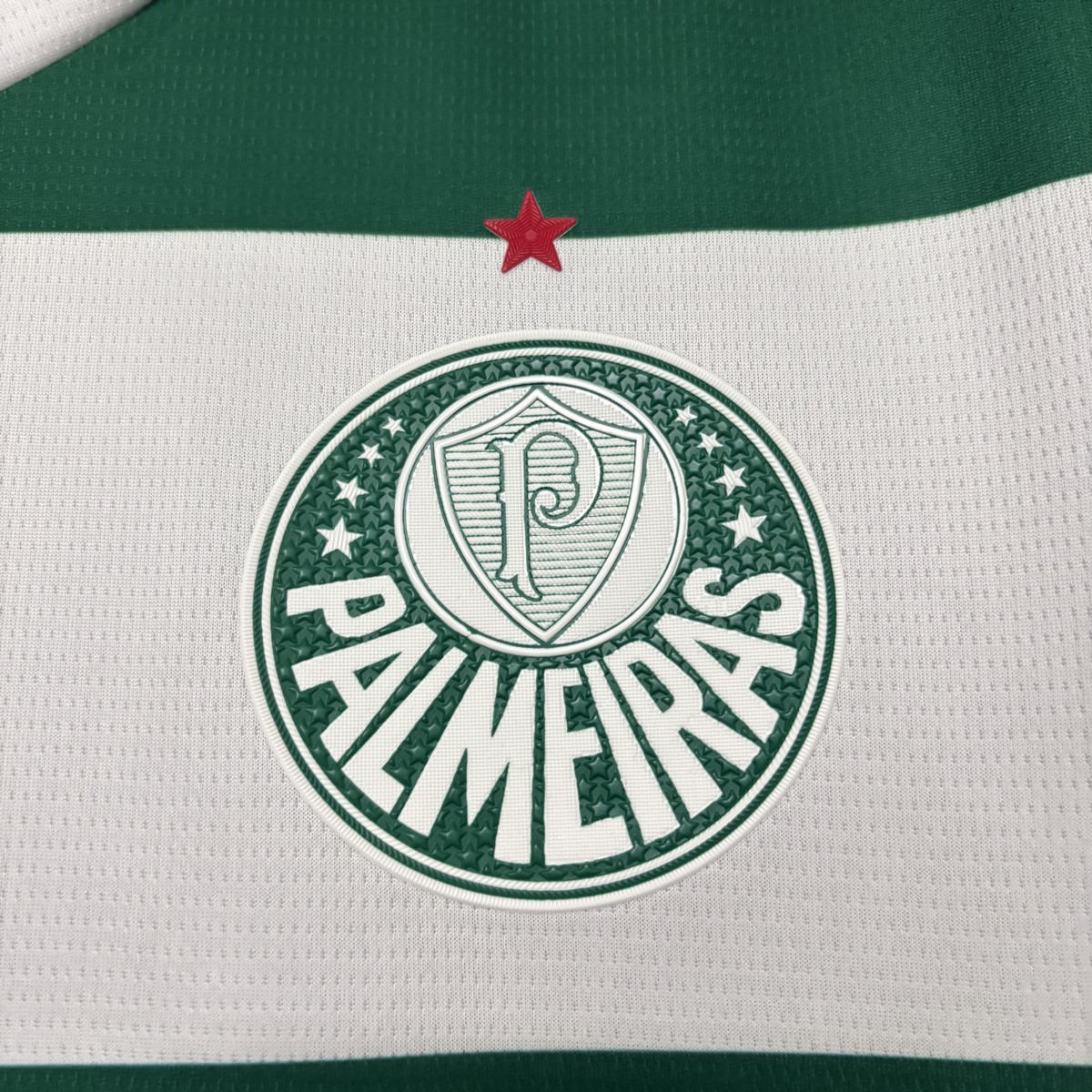 2025/26 Palmeiras Special Edition Green jersey Fan version