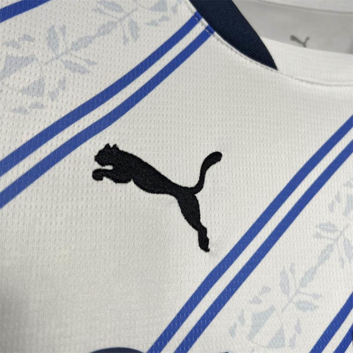 2024/25 Fenerbahce S.K. Away Jersey Fan Version