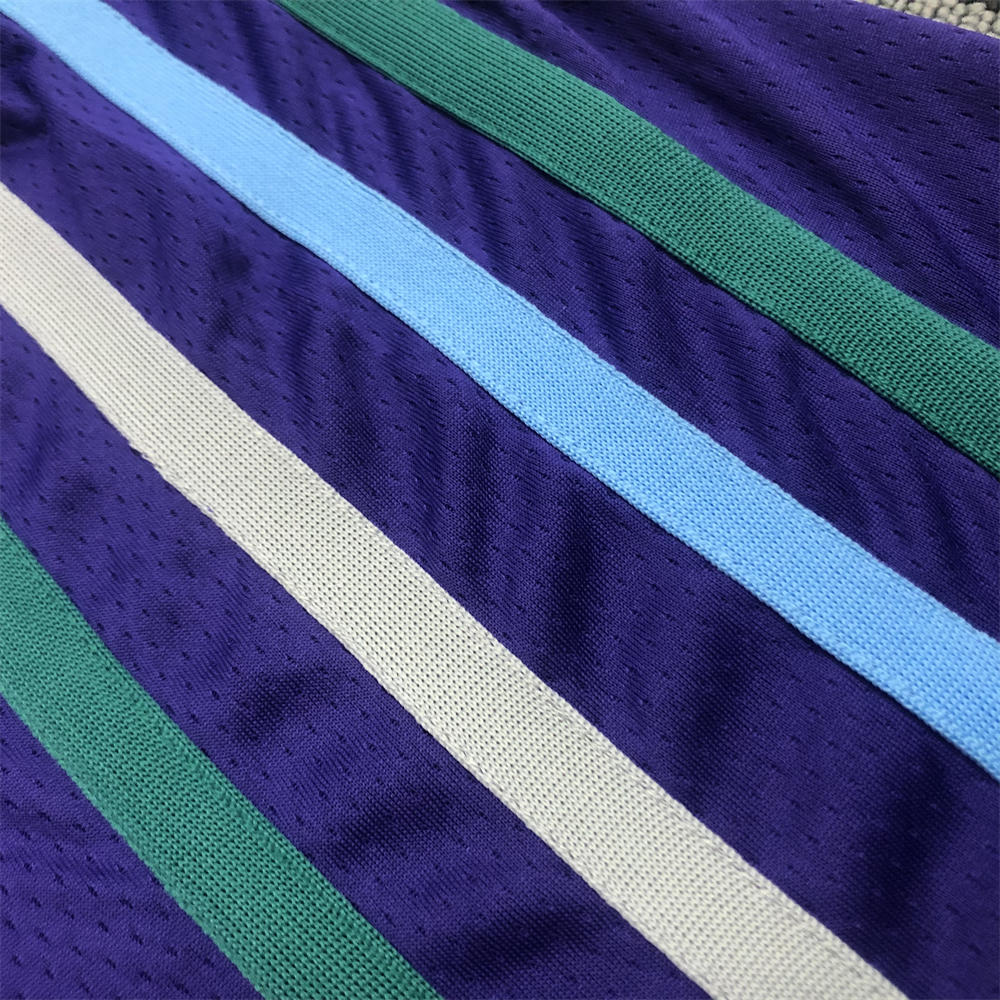 NBA Charlotte Hornets V-Neck Purple Jersey BALL#2 S-XXL