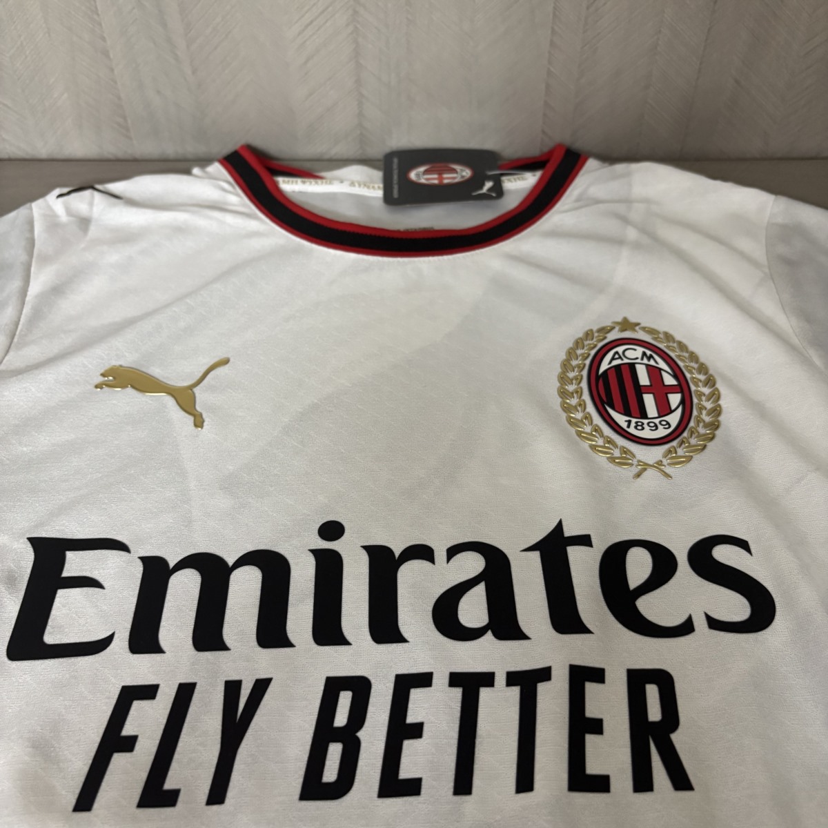 2025/26 AC Milan x Slam Jam Gray Jersey Player Version