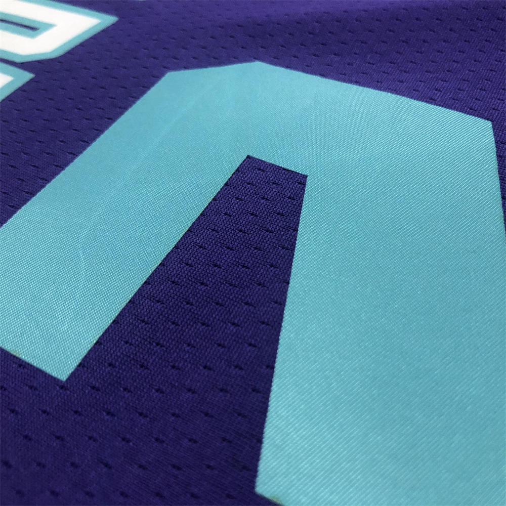 NBA Charlotte Hornets V-Neck Purple Jersey BALL#2 S-XXL