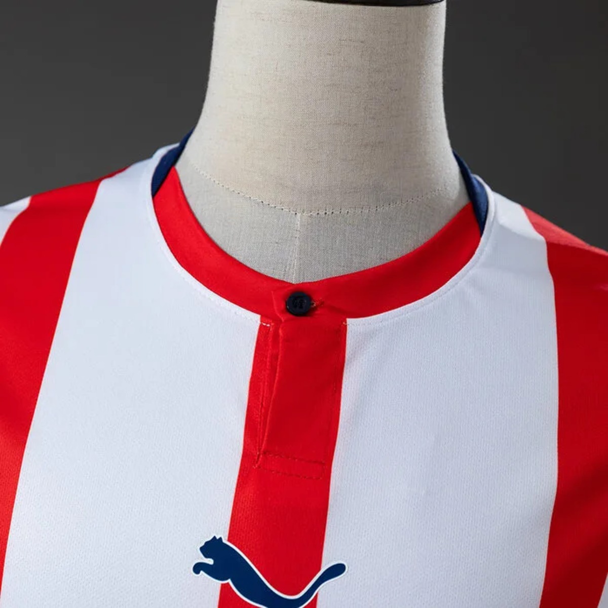 Chivas 120th Aniversario Jersey Fan Version
