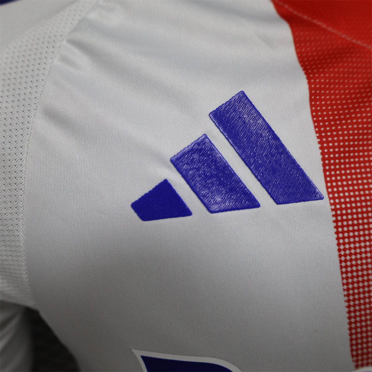 24/25 Lyon Home Jersey Player Version