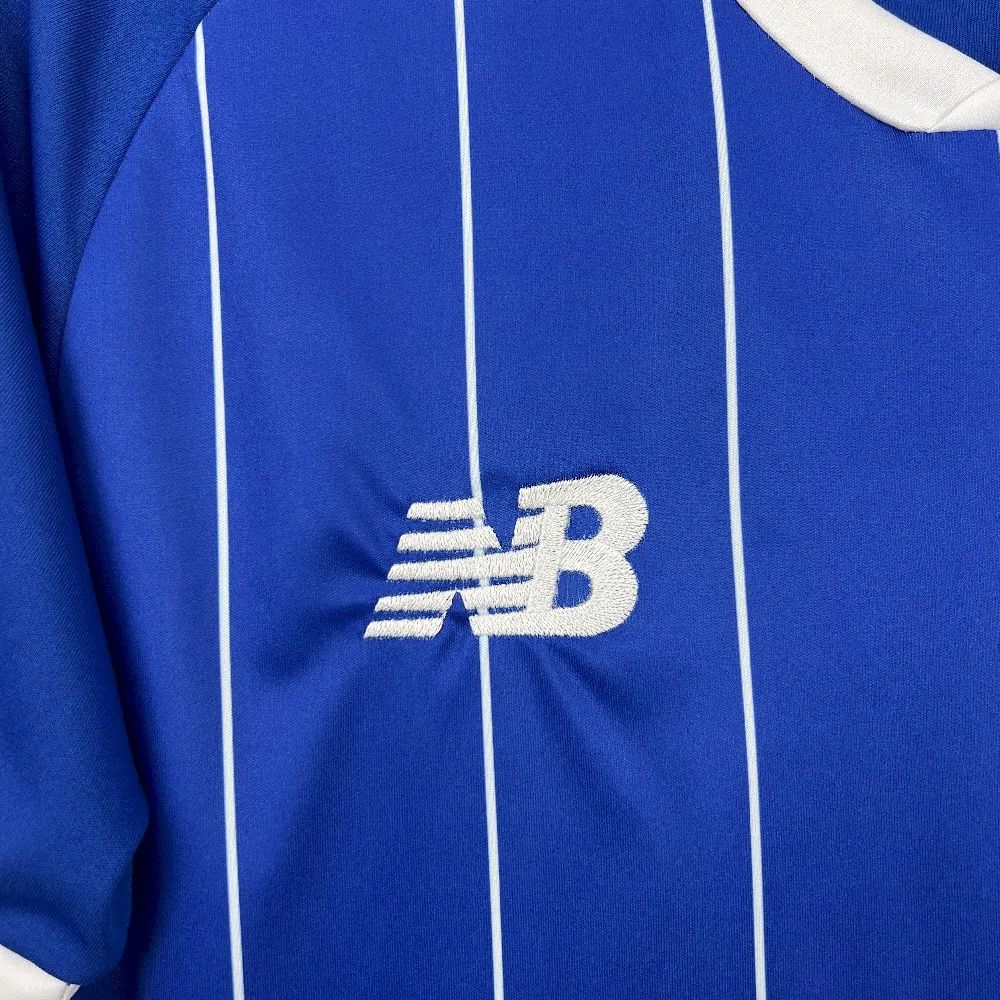 2025/26 Cardiff City F.C. Home  jersey Fan version