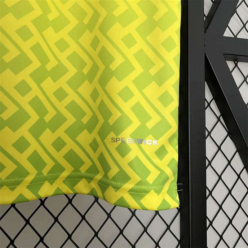 Botafogo 2023/24  Goalkeeper Yellow Jersey  Fan Version