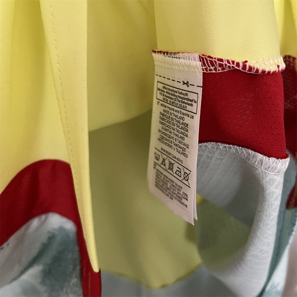 24/25 Spain Euro Away Jersey Fan Version