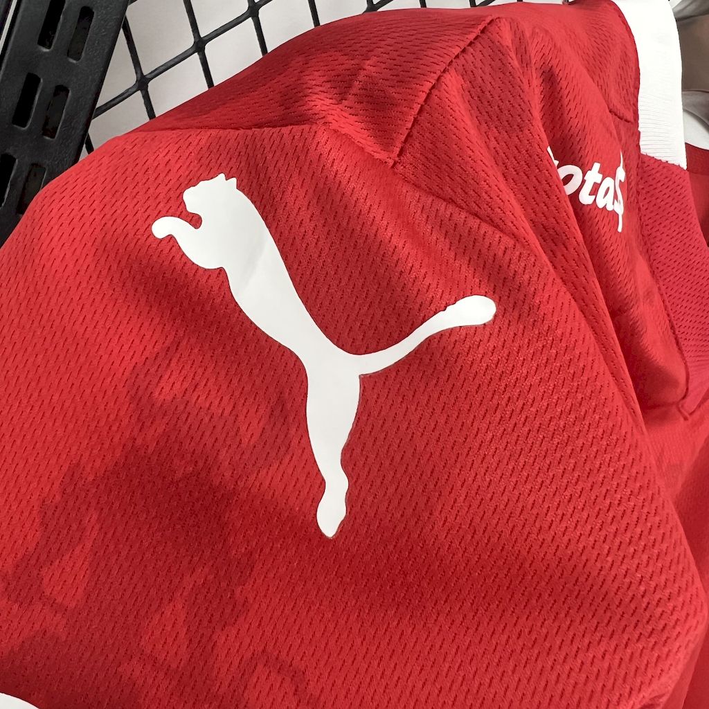 2025/26 Club Atlético Independiente Home Jersey Fan Version