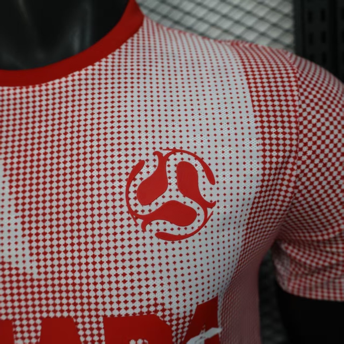 Canada 2026 World Cup Anniversary Edition jersey Player Version