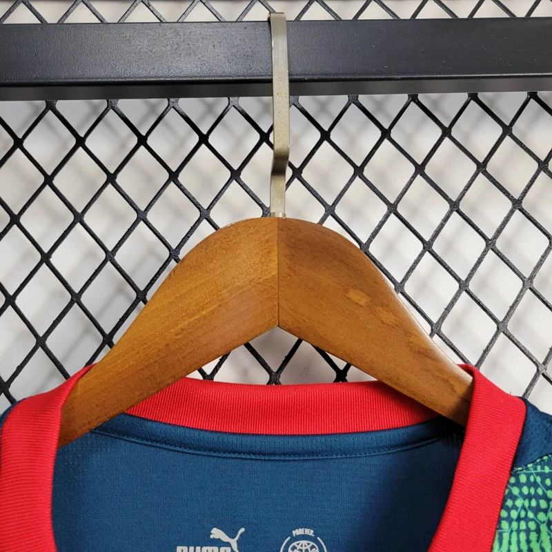 25/26 Portugal Training Jersey Fan Version
