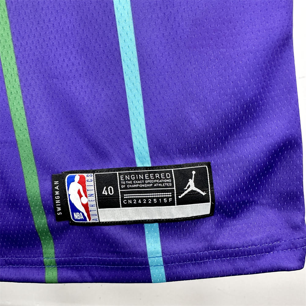 NBA Charlotte Hornets BALL#1 2019/20 Jordan Brand Purple Statement Edition Swingman Jersey S-XXL
