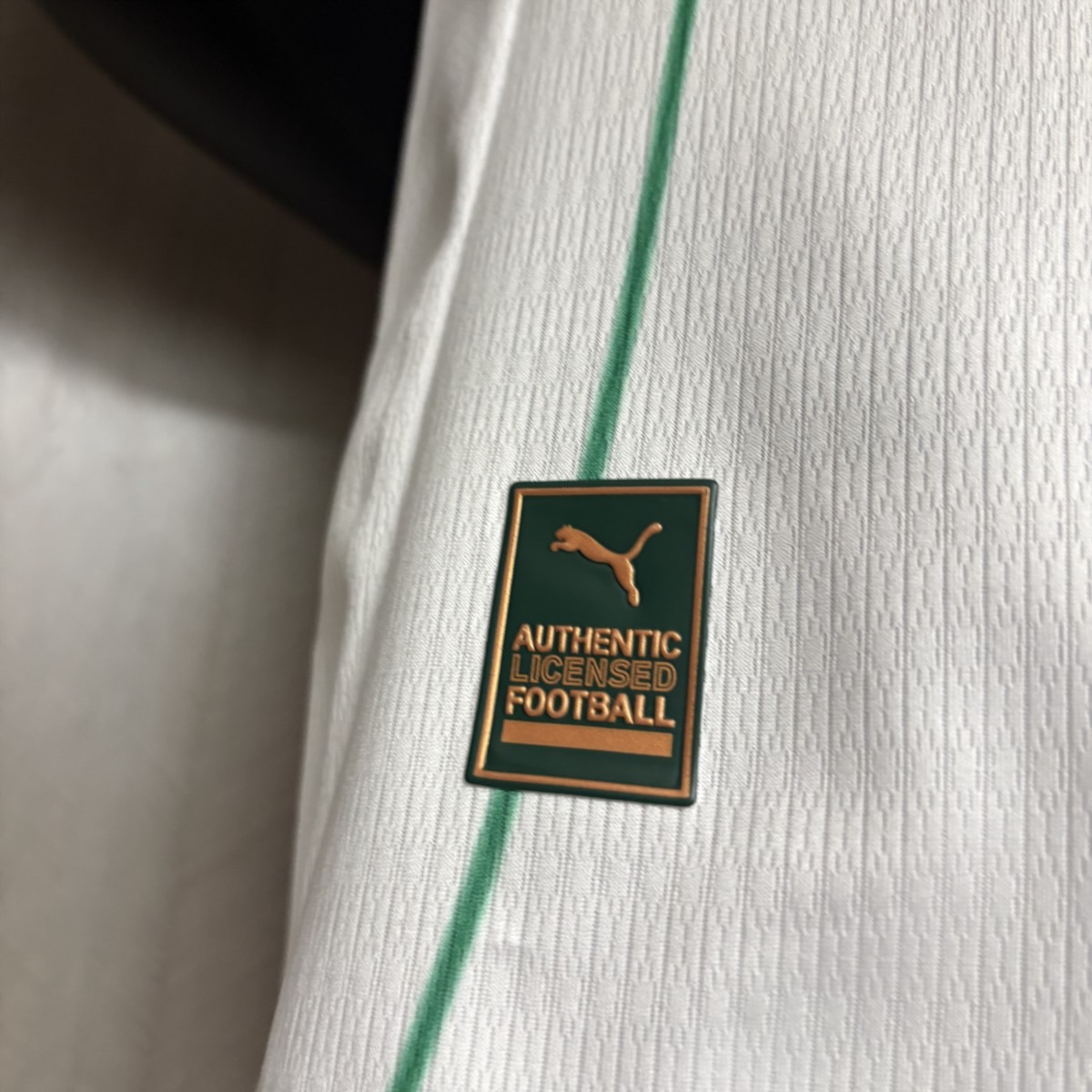 2026/27 Palmeiras Away Jersey Player Version