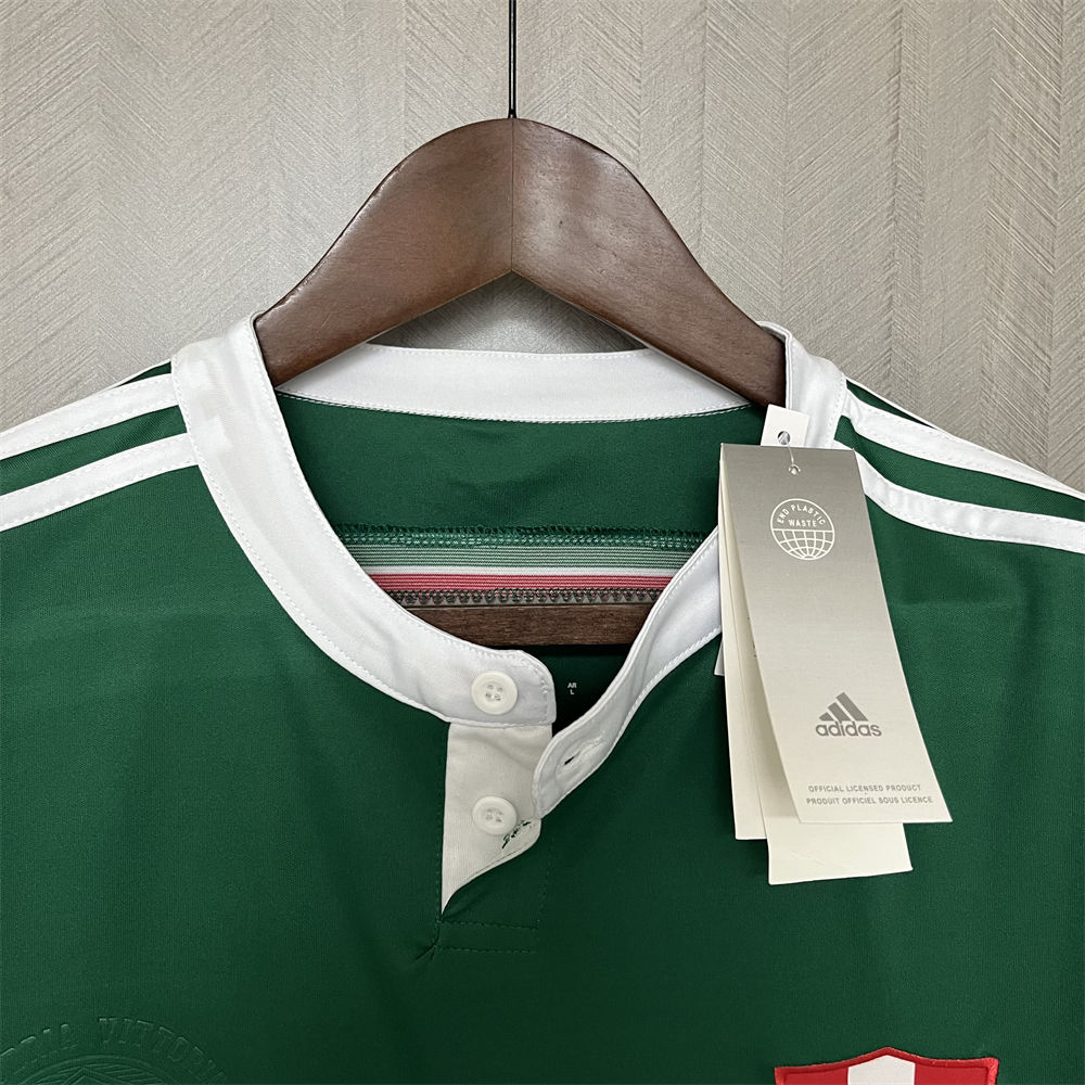 Retro 2014 Palmeiras Centennial Edition Green jersey Fan Version