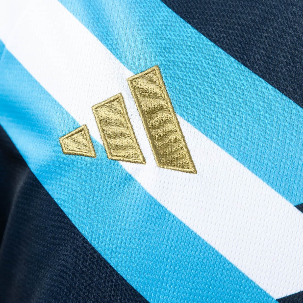 Argentina 2026 World Cup Special Edition Black jersey Fan Version
