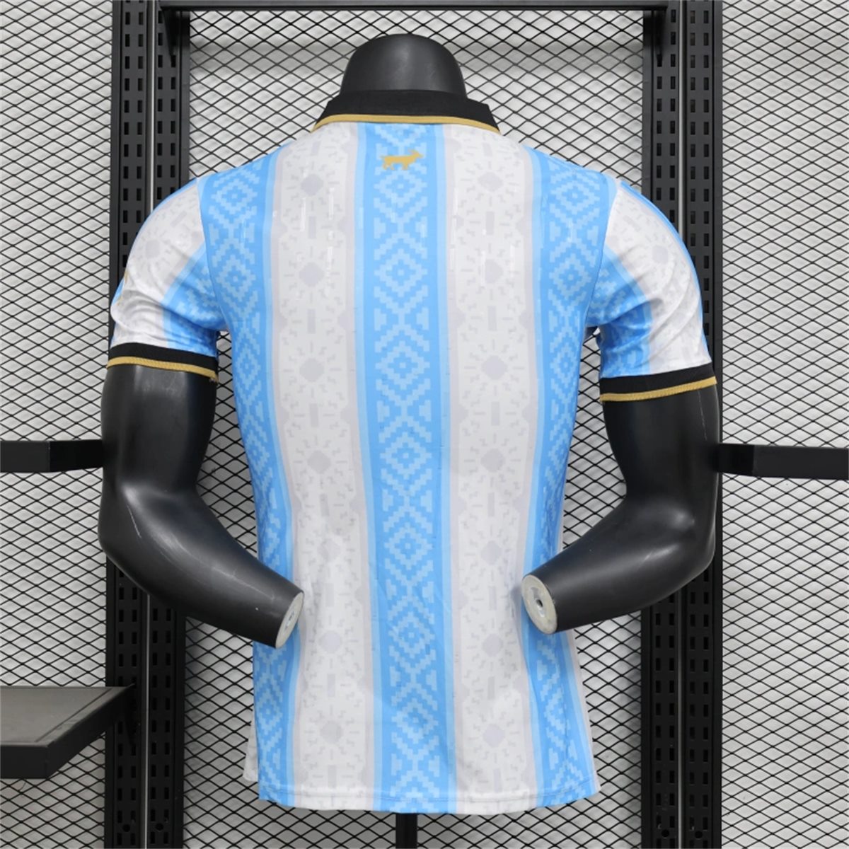 25/26 Argentina Special edition jersey Player Version
