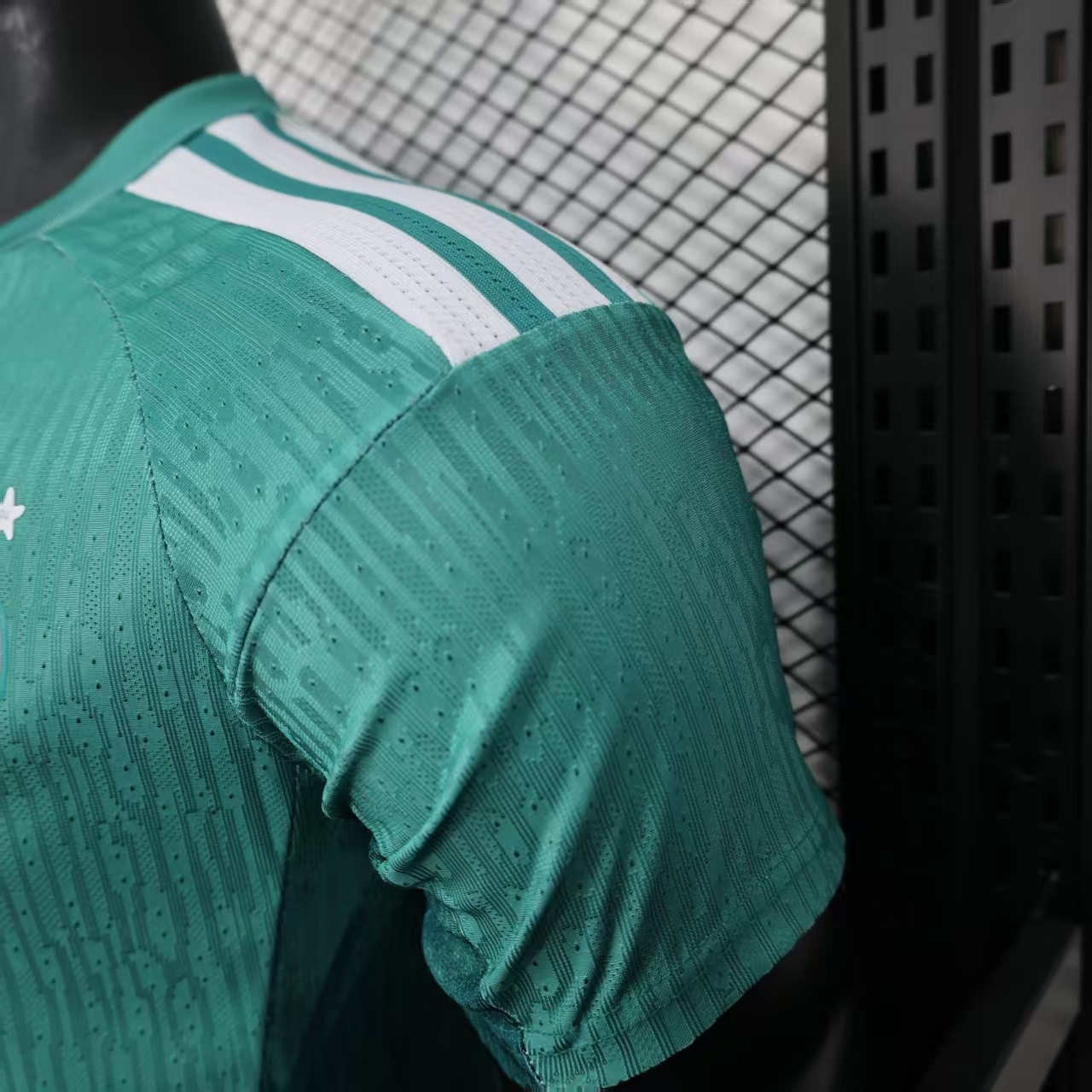 Germany 2026 World Cup Goalkeeper Green jersey Player Version