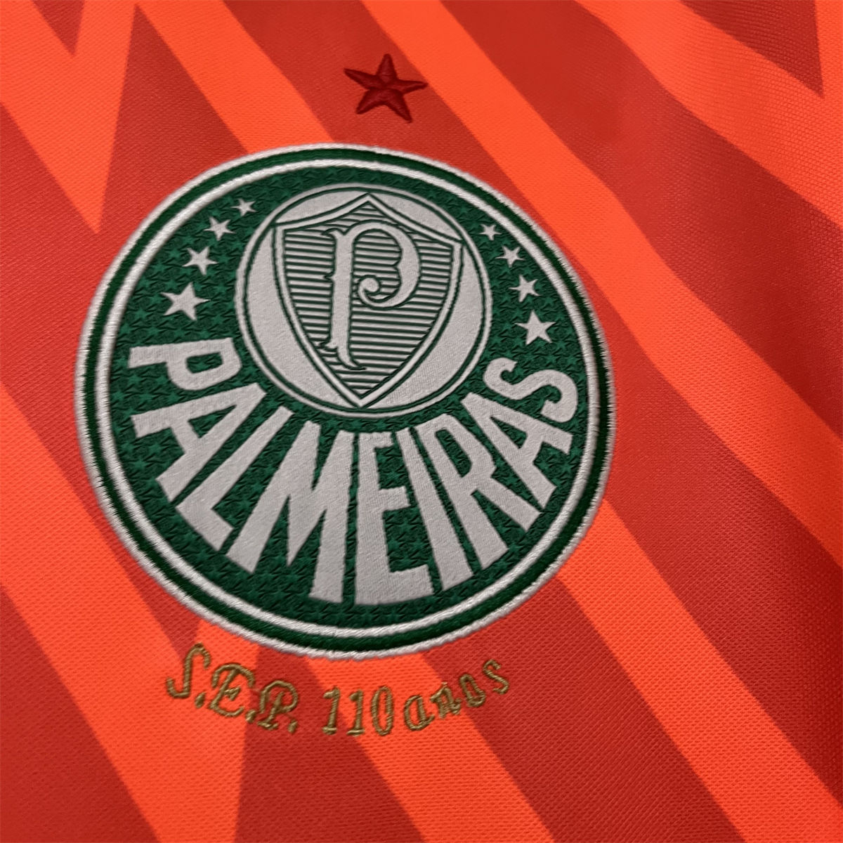 2024/25 Palmeiras Goalkeeper Orange jersey Fan Version