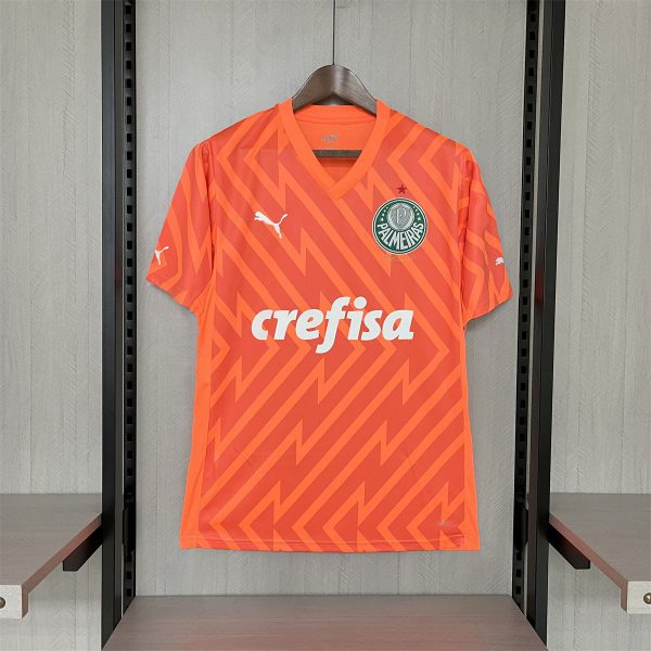 2024/25 Palmeiras Goalkeeper Orange jersey Fan Version