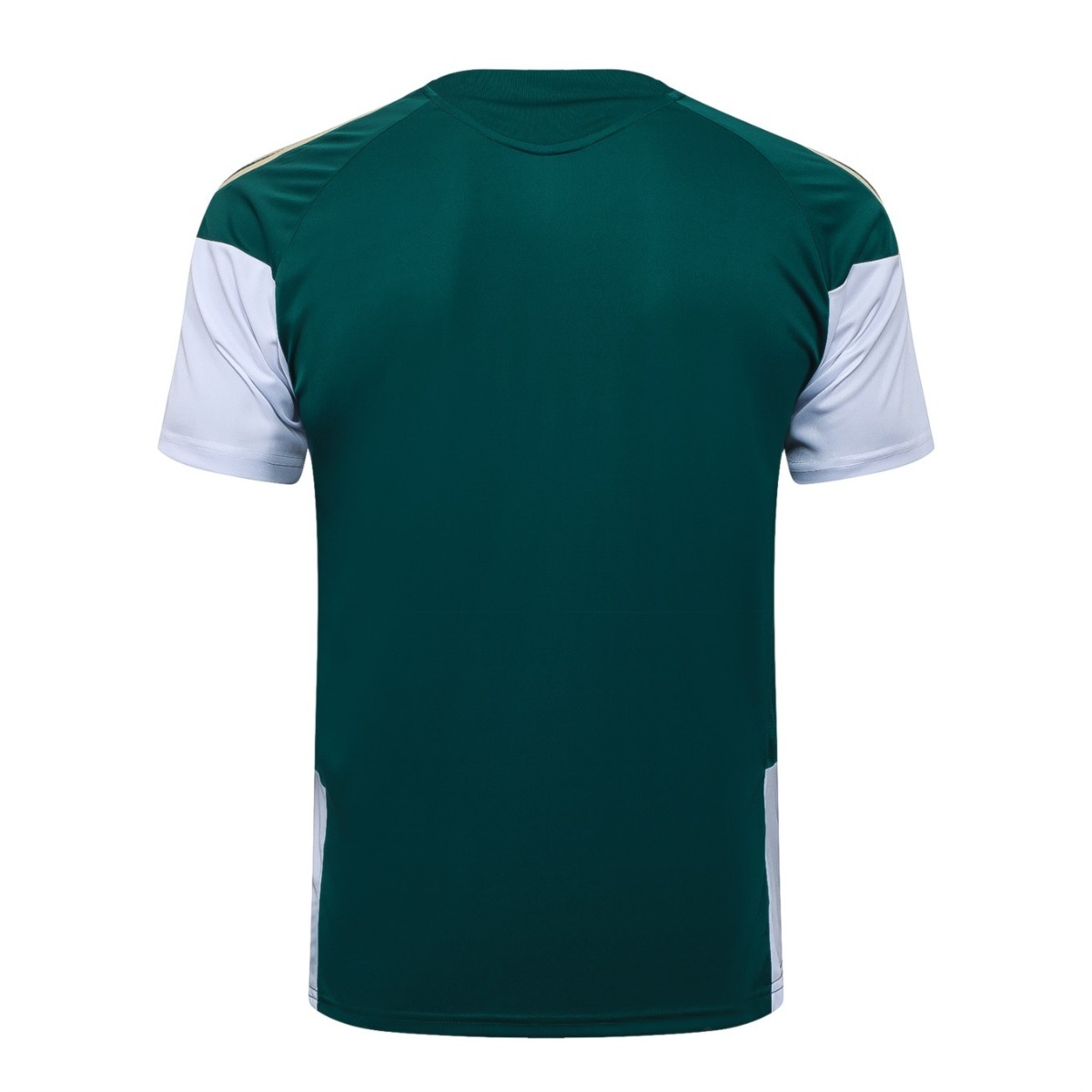 2026 Italy Dark green Training Set Shirt and Shorts