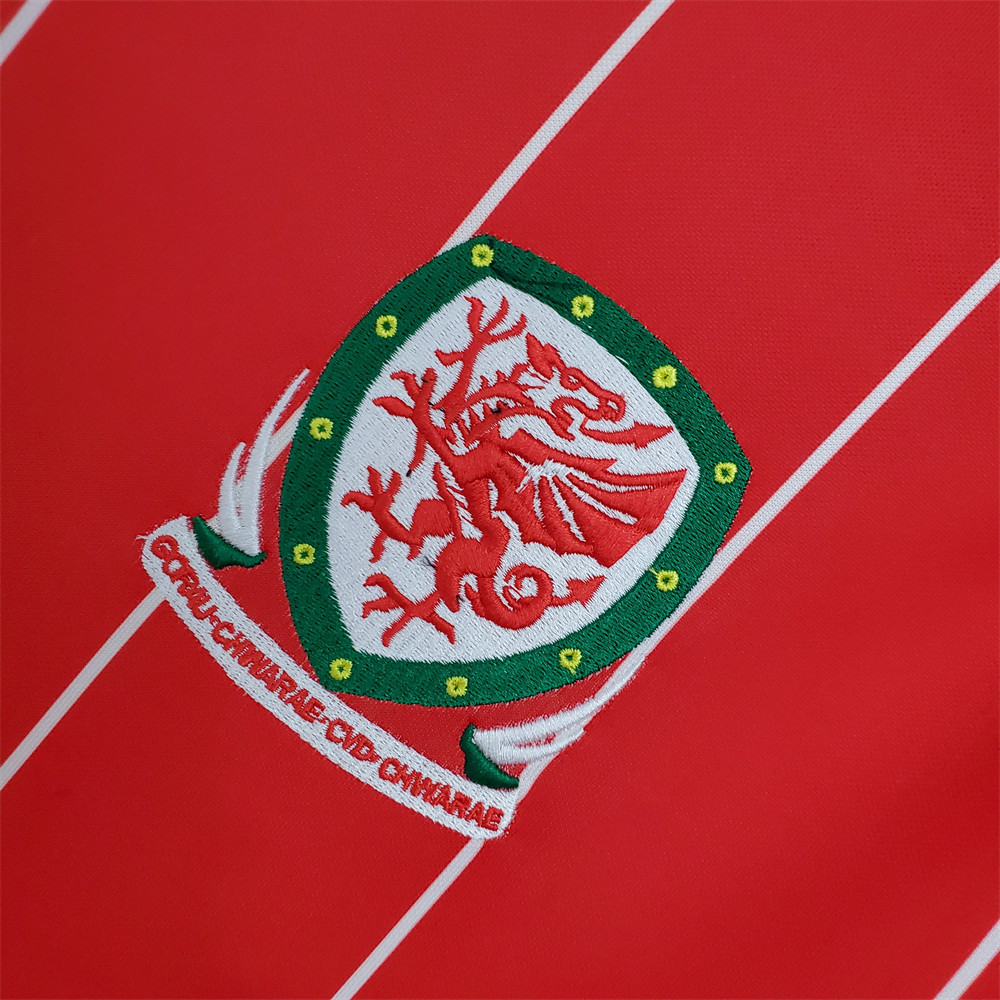 Retro Wales 15/16 Home jersey Fan Version