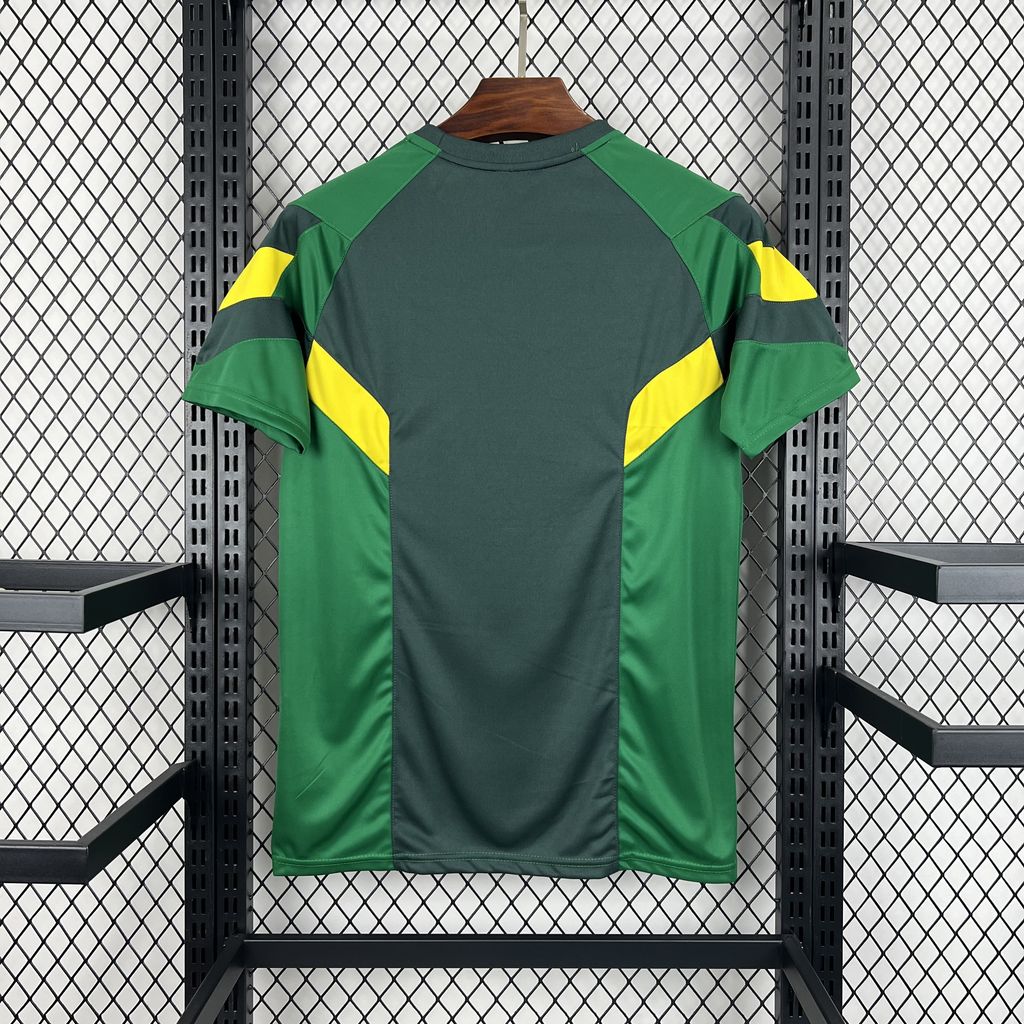 24/25 Celtic Special Edition Jersey Fan Version