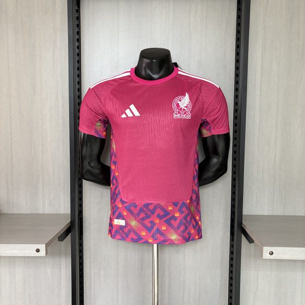 Mexico 2026 World Cup Goalkeeper Pink jersey Player Version