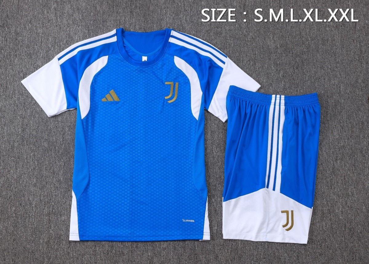 2026 Juventus Colorful orchid blue Training Set Shirt andShorts