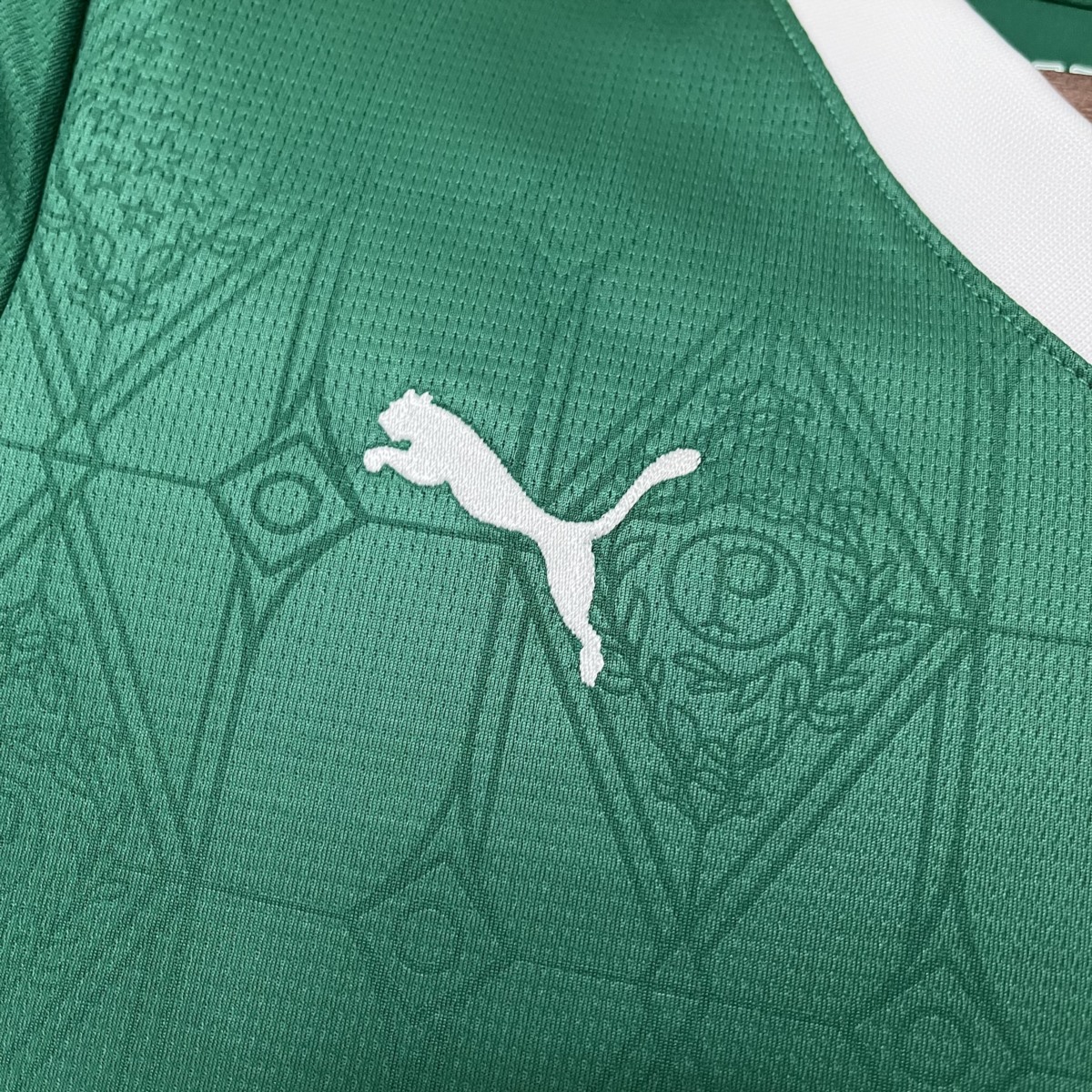 2025/26 Women's Palmeiras Home Jersey Fan Version