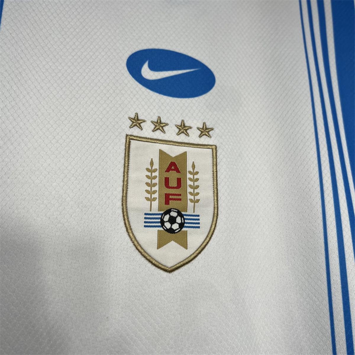 2024/25 Uruguay Pre-match training Jersey Fan Version