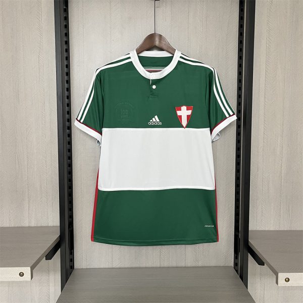 Retro 2014 Palmeiras Centennial Edition Green jersey Fan Version
