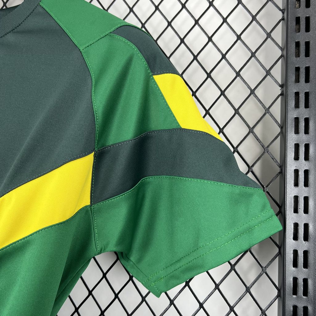 24/25 Celtic Special Edition Jersey Fan Version