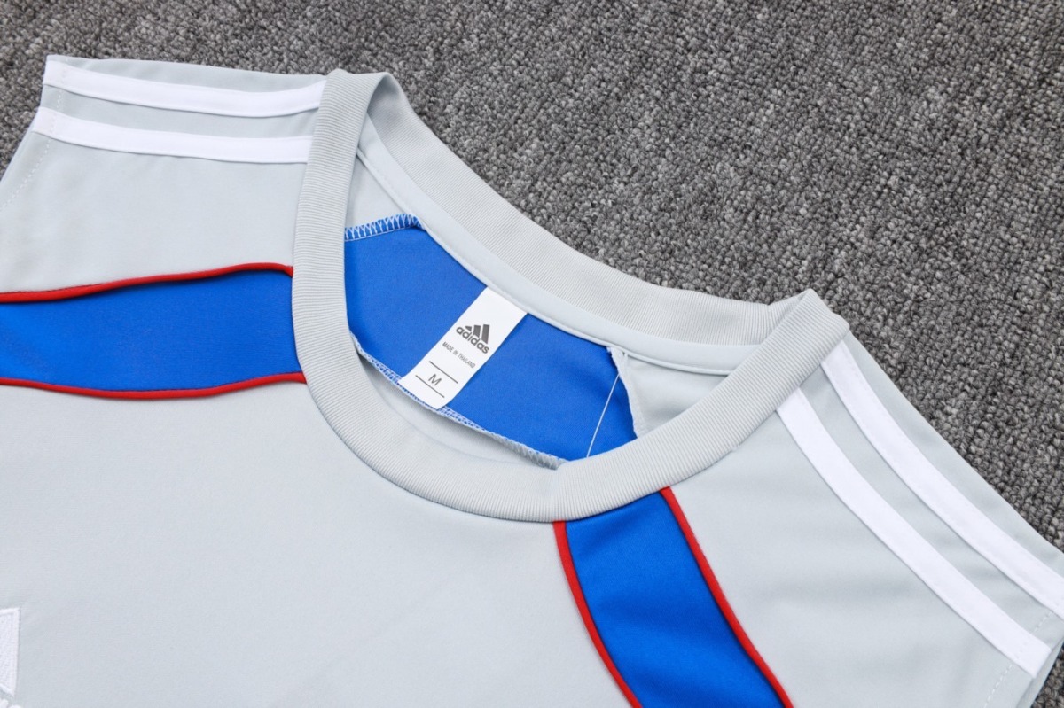 2026 Bayern Munich Grey Training Set Shirt and Shorts