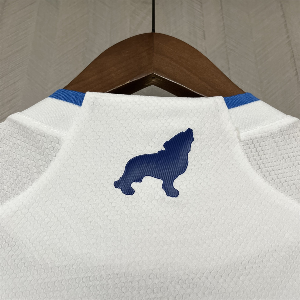 2024/25 Paysandu Away jersey Fan Version