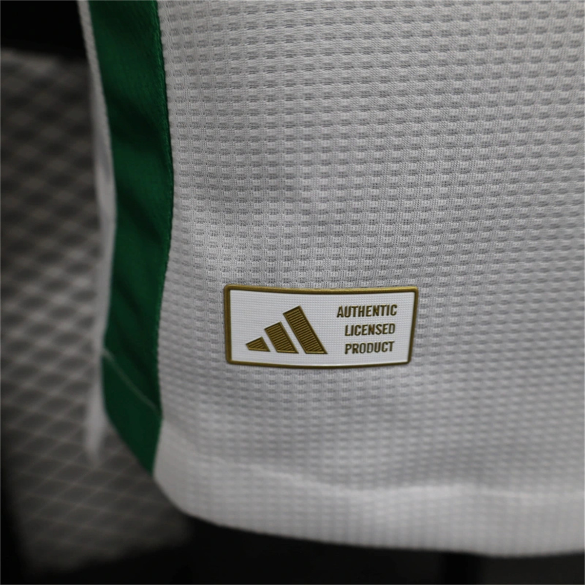 2024/25 Al Ahli Jeddah Home Special edition Jersey Player Version