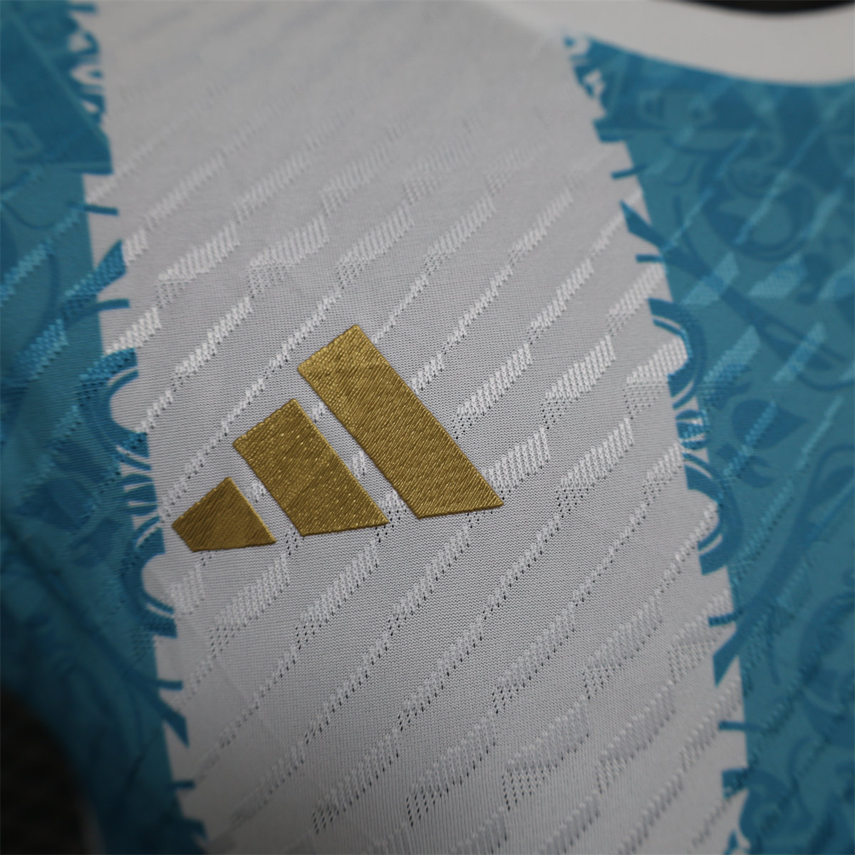 24/25 Argentina Special edition Jersey Player Version