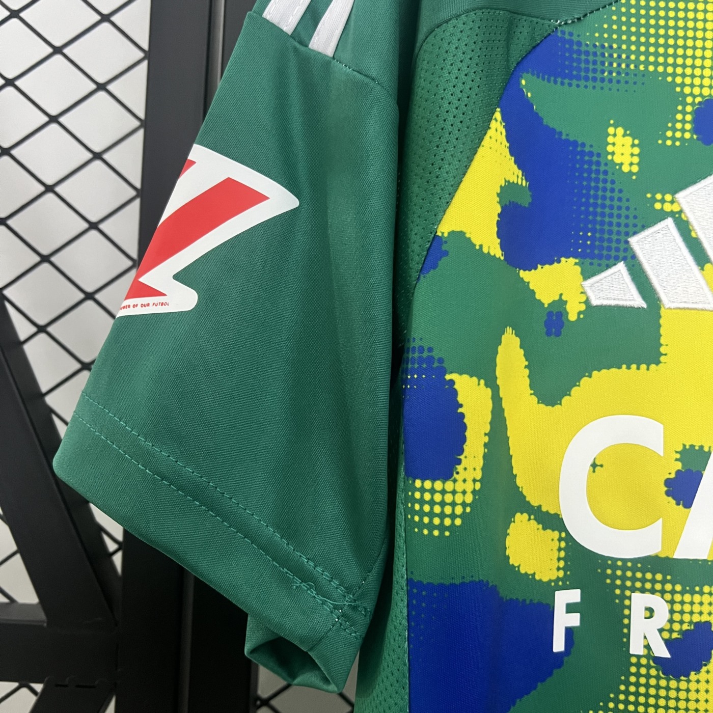 24/25 Real Zaragoza Special Edition Jersey Fan Version