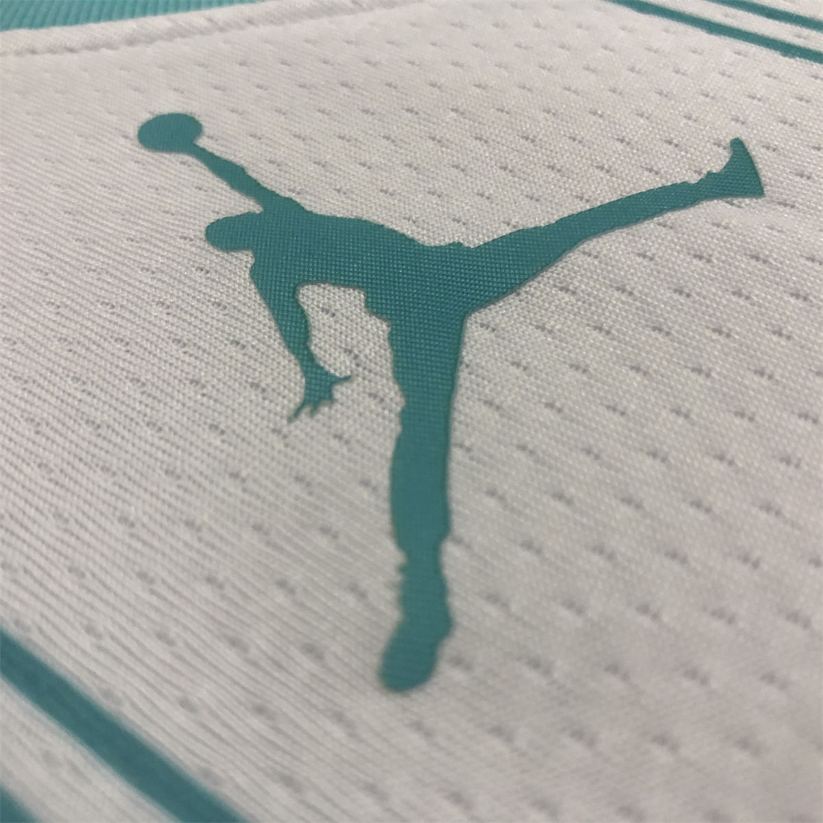 NBA Charlotte Hornets V-Neck White Jersey HAYWARD#20 S-XXL