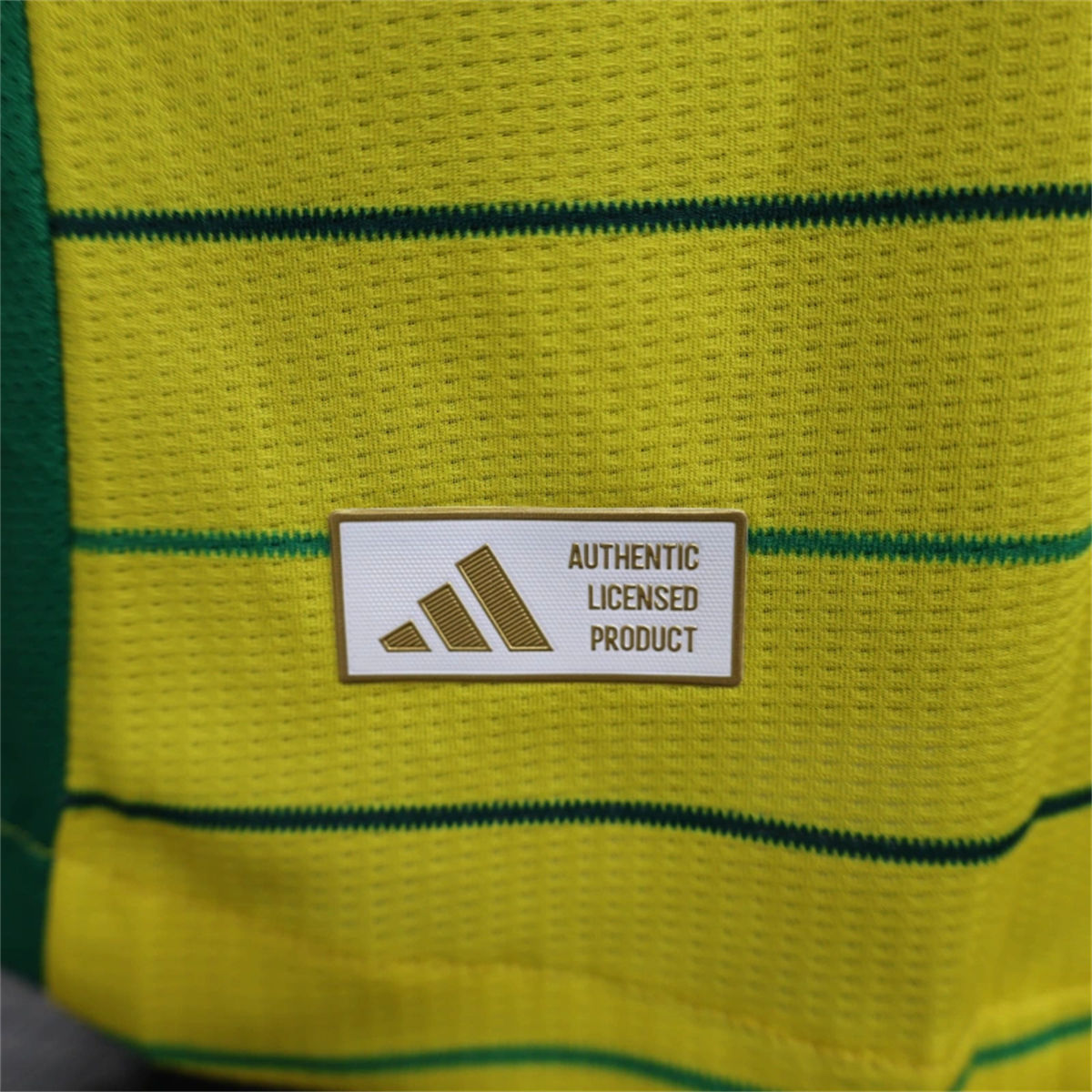 24/25 Celtic F.C. 2 away Jersey Player Version