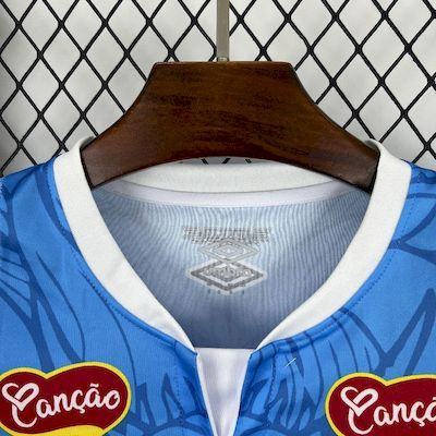 2025/26 Santos Blue Dragon Special Edition jersey Fan version