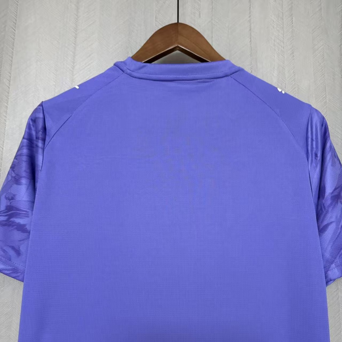 2026/27 Bahia Goalkeeper Purple Jersey Fan Version