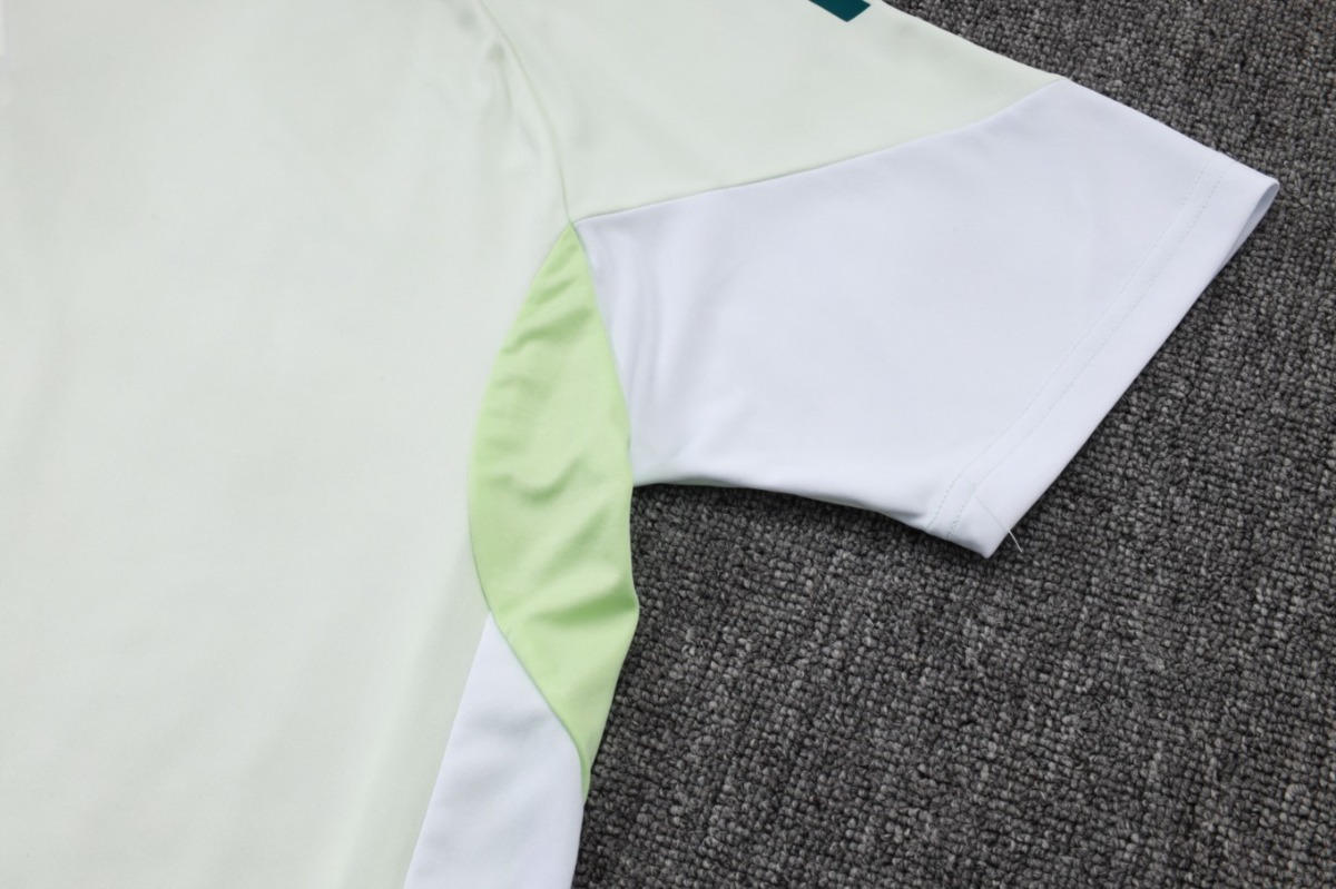 2026 Al-Ahly Light Green Training Set Shirt and Shorts