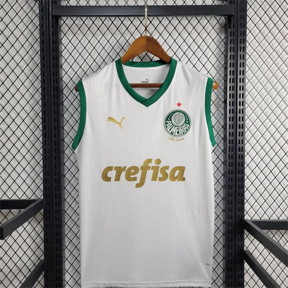 2024/25 Palmeiras Away vest jersey Fan Version