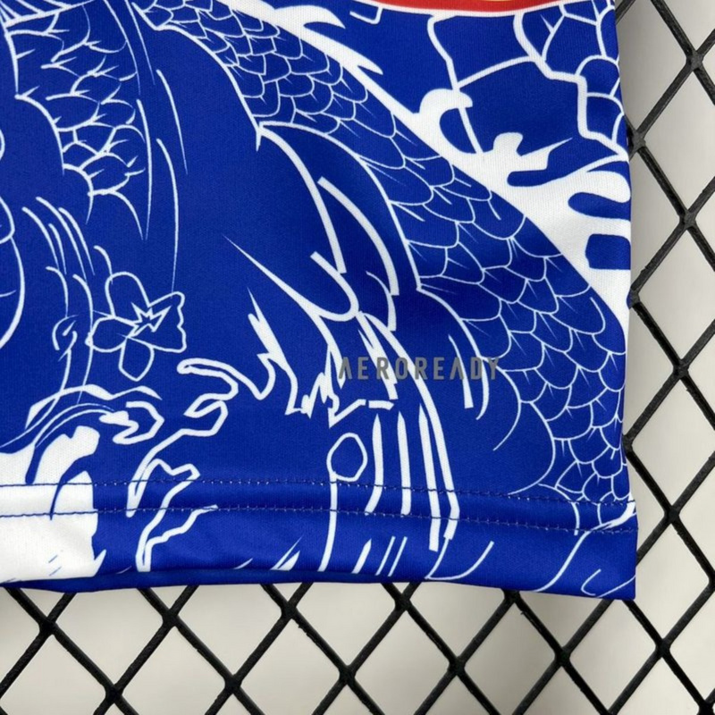 2024/25 Fortuna Düsseldorf Special Edition Jersey Fan Version