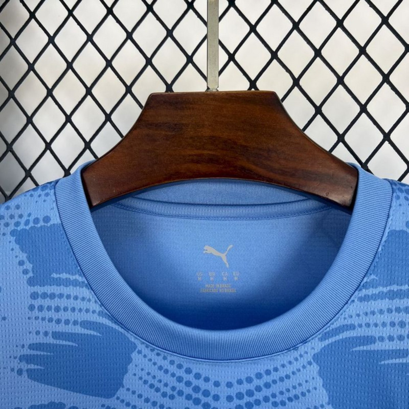 2025/26 Palmeiras Goalkeeper Blue jersey Fan Version