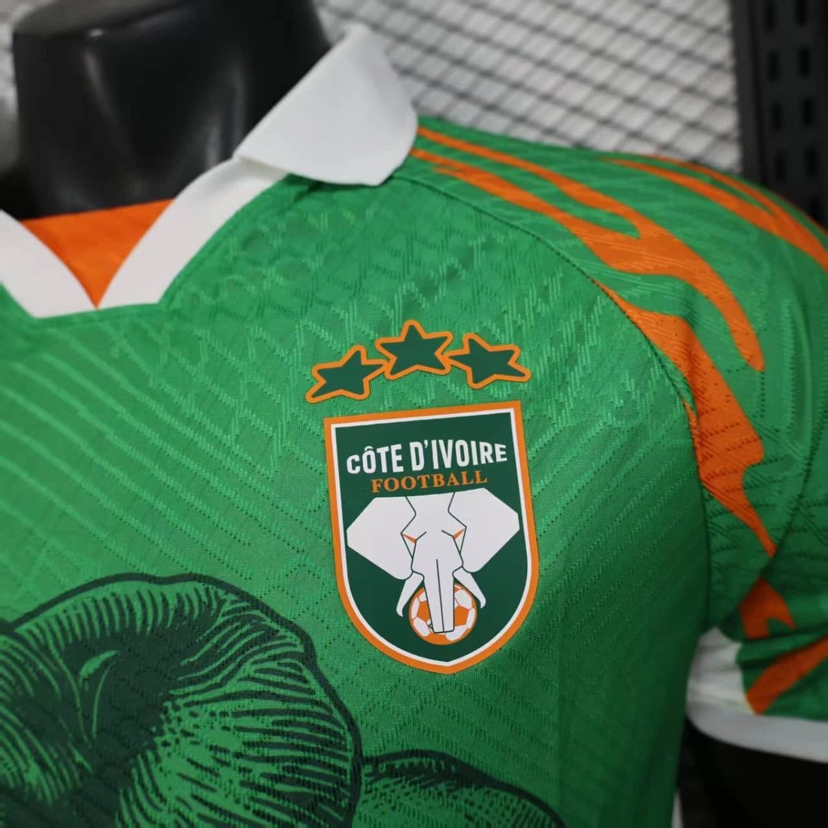 2025/26 Ivory Coast Special edition Green Jersey Player Version