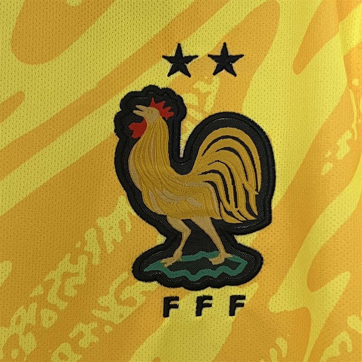 2024/25 France Euro Goalkeeper uniform Jersey Fan Version