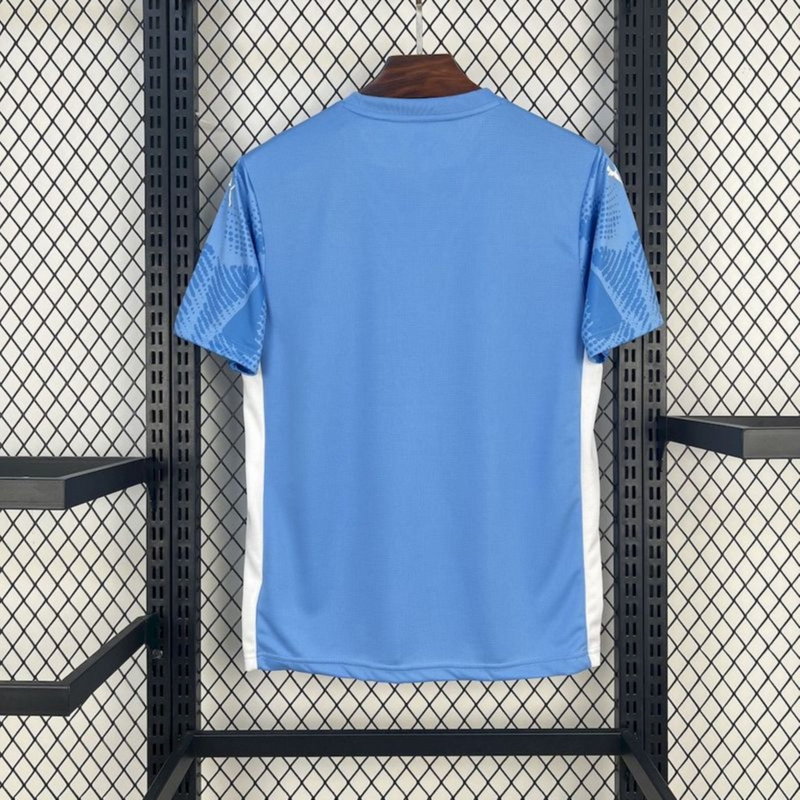 2025/26 Palmeiras Goalkeeper Blue jersey Fan Version