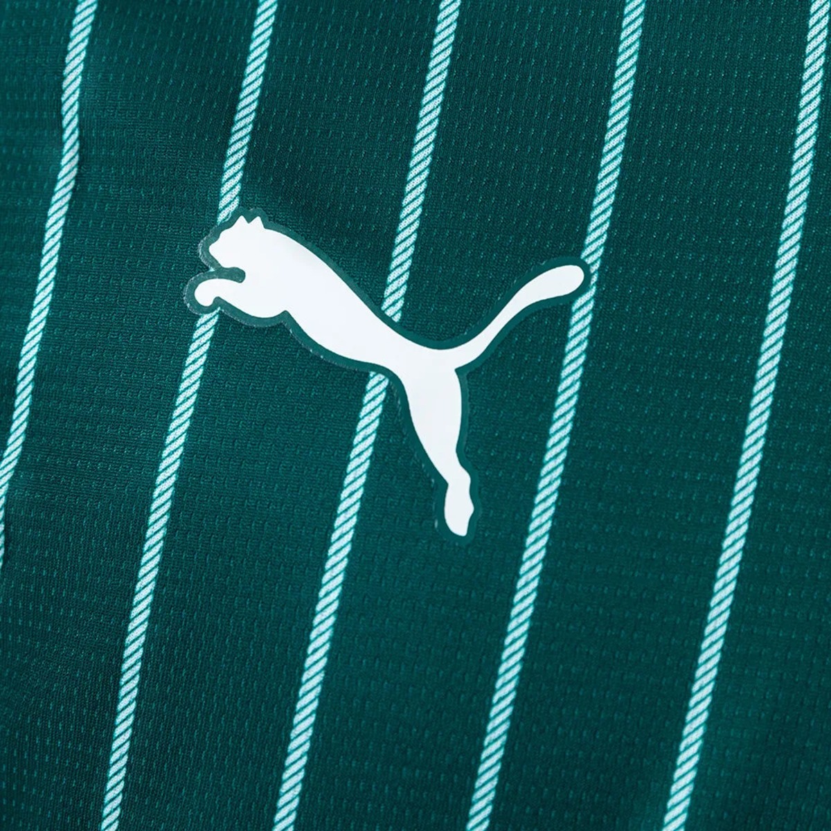 2026/27 Plymouth Argyle Home Jersey Fan Version