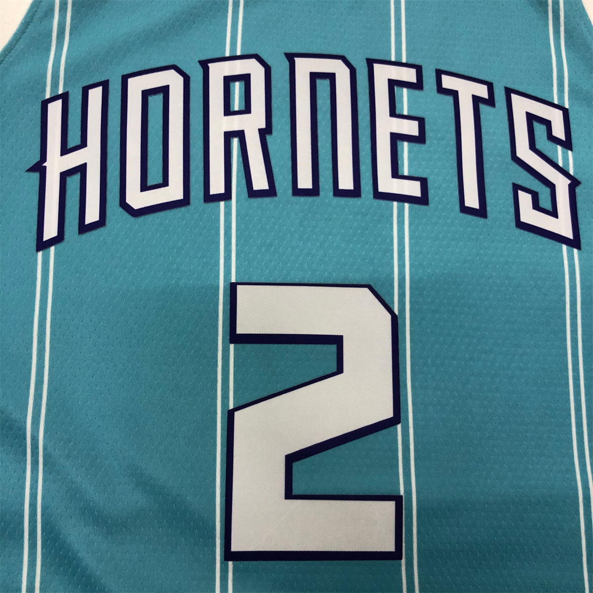 NBA Charlotte Hornets V-Neck Light Blue Jersey BALL#2 S-XXL